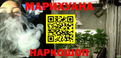 крисы Камышлов