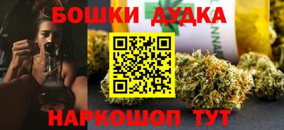 крисы Камышлов