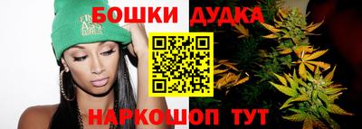 крисы Камышлов