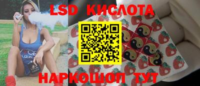 крисы Камышлов
