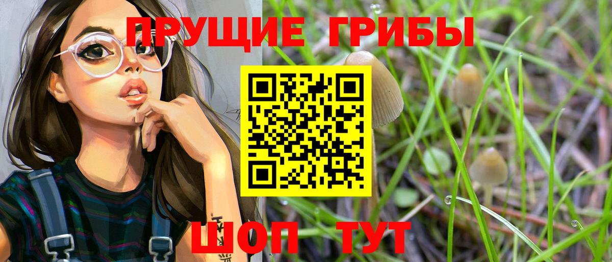 где купить наркоту  Вход с VPN  Краснокаменск  Псилоцибиновые грибы Cubensis 