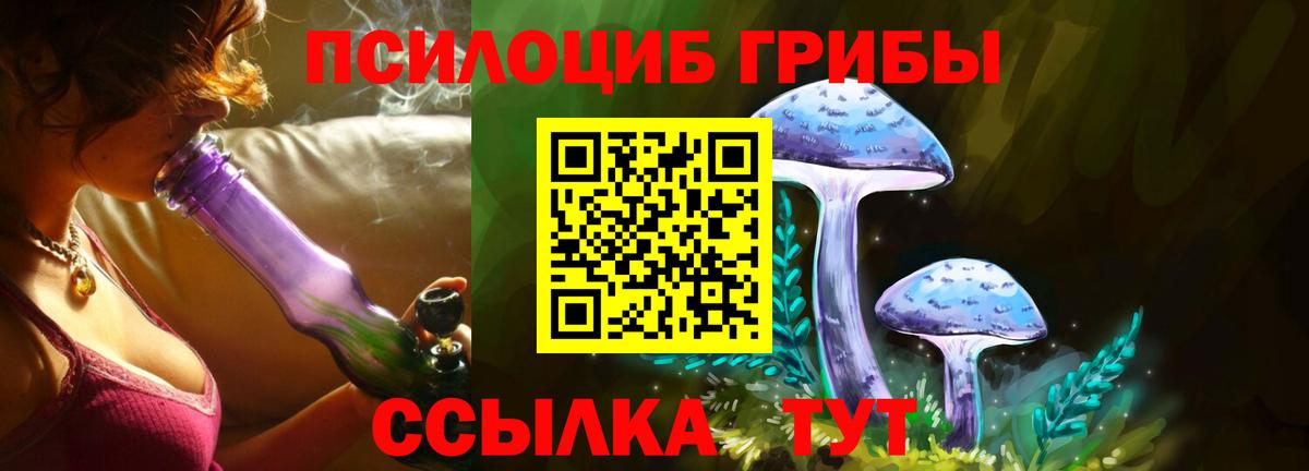 Псилоцибиновые грибы GOLDEN TEACHER Краснокаменск