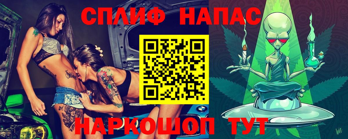 Конопля тримм  Краснокаменск  Каннабис сатива 